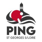 Logo ping sgsl